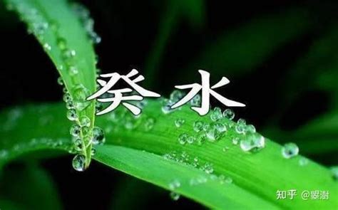 癸屬性|日干癸水特性